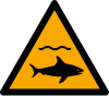 Segnale ISO 7010 W054: Pericolo squali